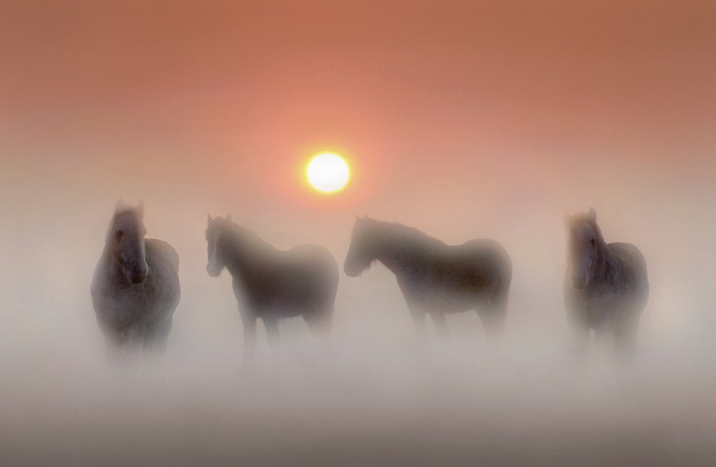 Ilona Lay: Early&nbsp;Morning