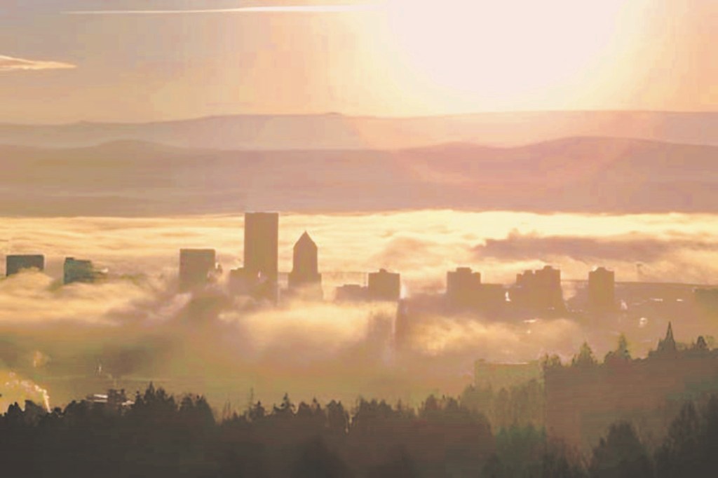 Metamorphic Dreams and Pipe&nbsp;Dreams